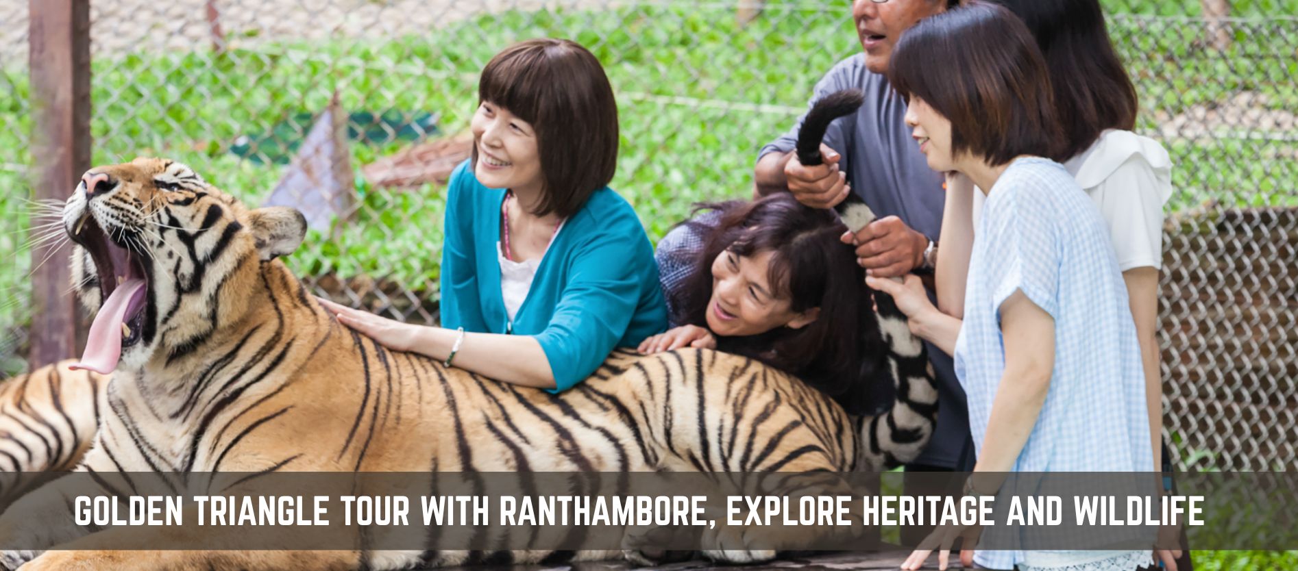 golden-triangle-tour-with-ranthambore-explore-heritage-and-wildlife